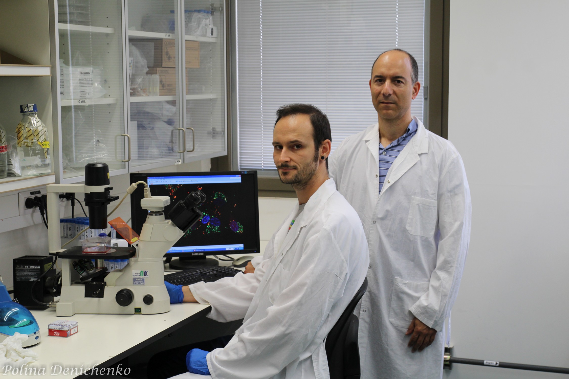 Hebrew U Researchers Discover Promising Treatment for Aggressive Brain Tumors