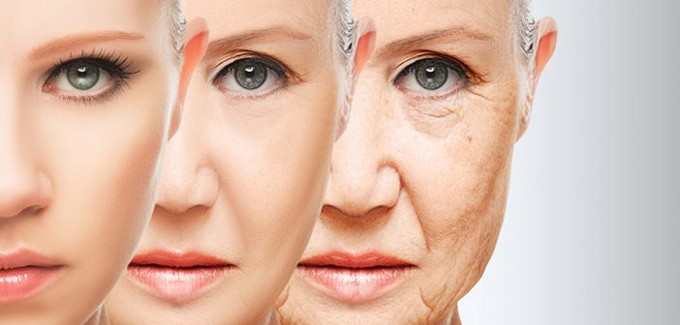 New Discoveries In The Aging Process