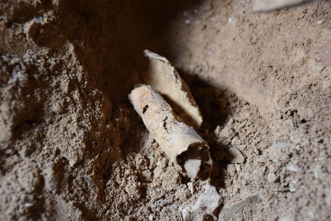 One Of The Last Dead Sea Scrolls Deciphered