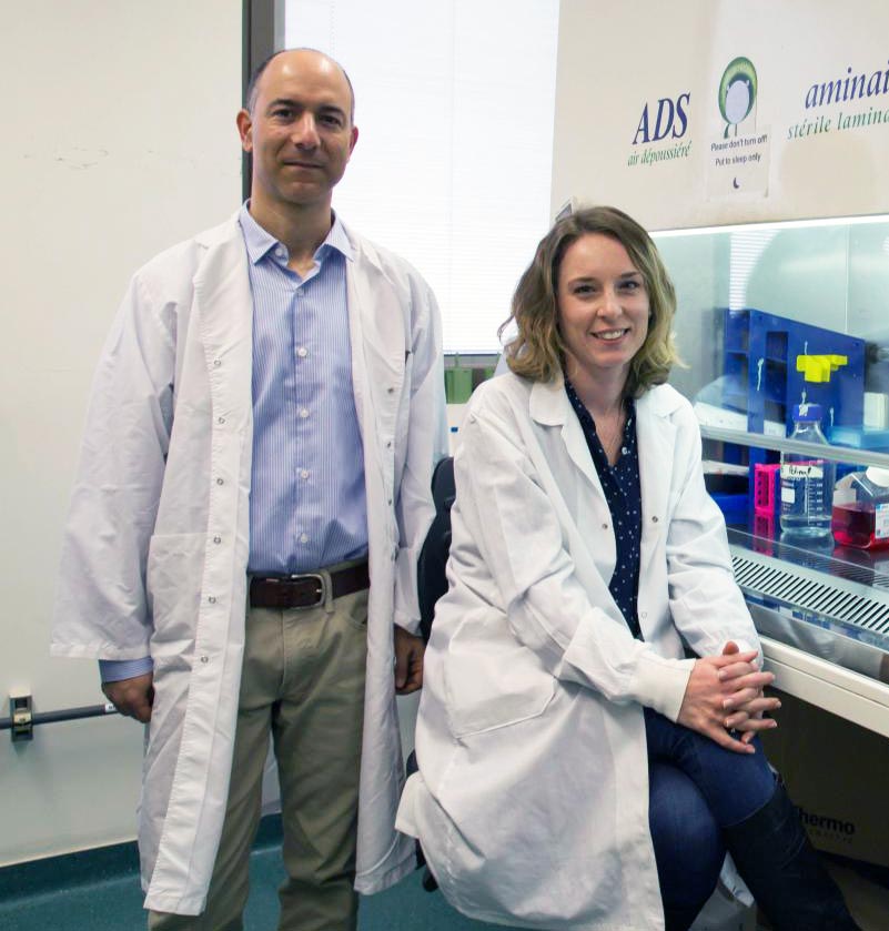 Hebrew U Research: Another Brick in the Wall to Block Cancer