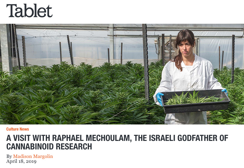 Tablet header - A Visit With Raphael Mechoulam, the Israeli Godfather of Cannabinoid Research