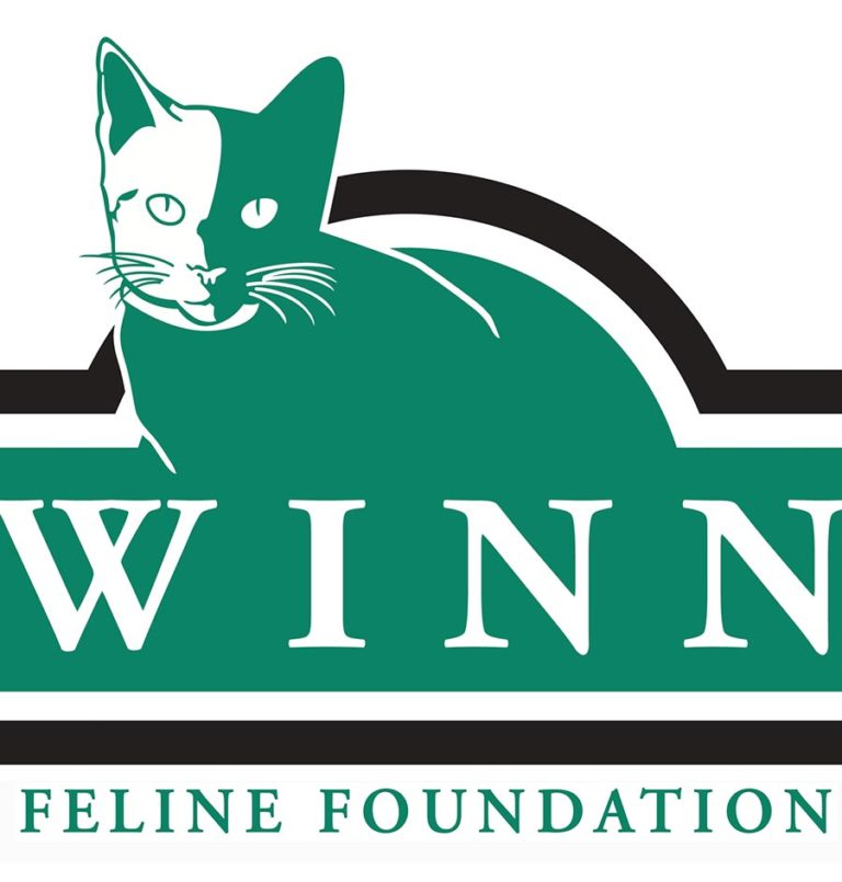 Winn Feline Foundation selects Hebrew U for one of its research awards