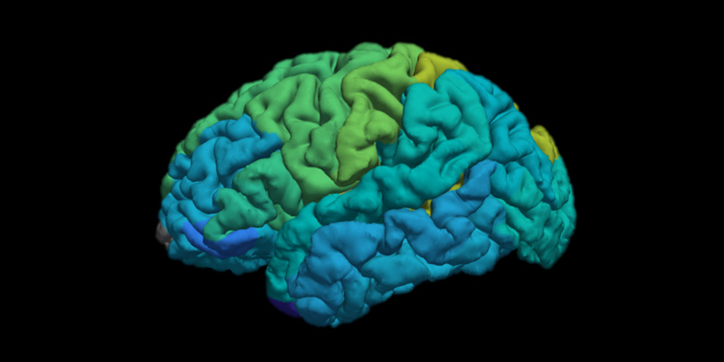 The new MRI technique developed by researchers at the Hebrew University of Jerusalem provides users with a molecular map of different areas in the brain.