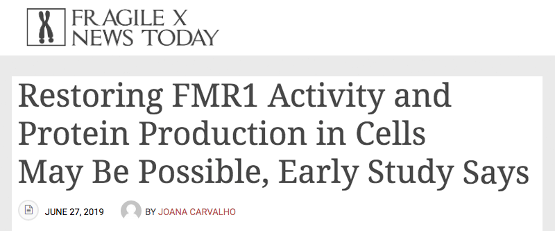 Fragile X News Today header - Restoring FMR1 Activity and Protein Production in Cells May Be Possible, Early Study Says