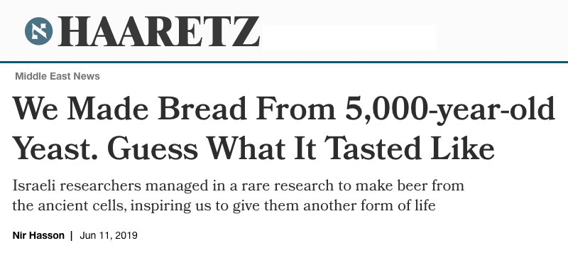 Haaretz header - We Made Bread From 5,000-year-old Yeast. Guess What It Tasted Like Israeli researchers managed in a rare research to make beer from the ancient cells, inspiring us to give them another form of life