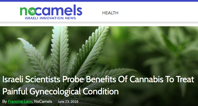 No Camels header - Israeli Scientists Probe Benefits Of Cannabis To Treat Painful Gynecological Condition