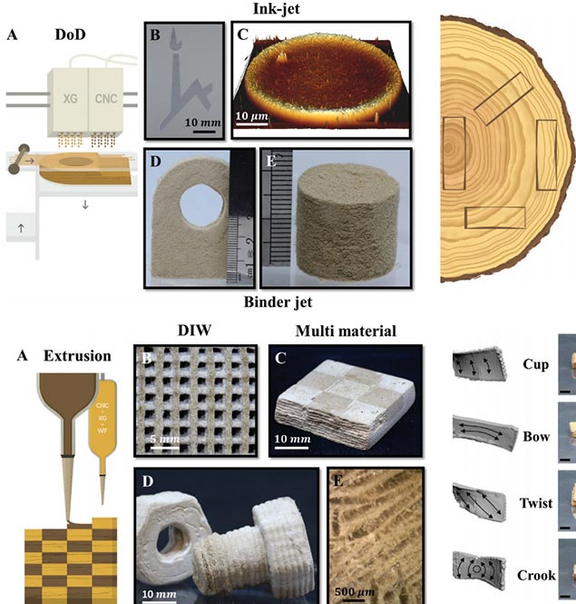 Hebrew U: 3D printing with wood as alternative to plastics