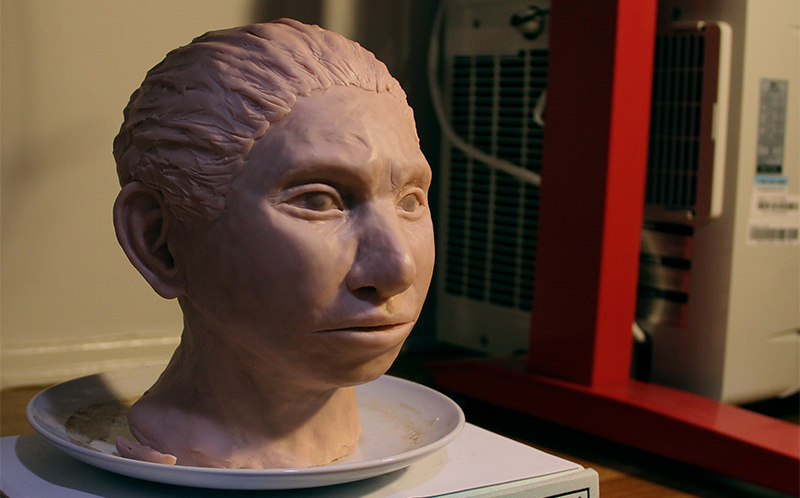 3-D printed reconstruction of a female Denisovan.