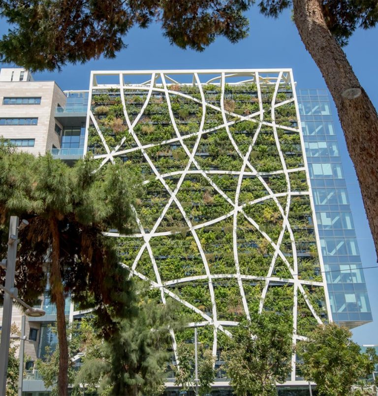 Hebrew U takes part in living walls research and their impact on cities
