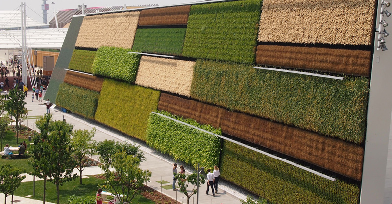 Vertical Field's living wall at Expo Milan