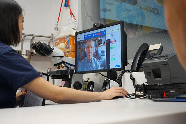 pets central 24 hour hospital