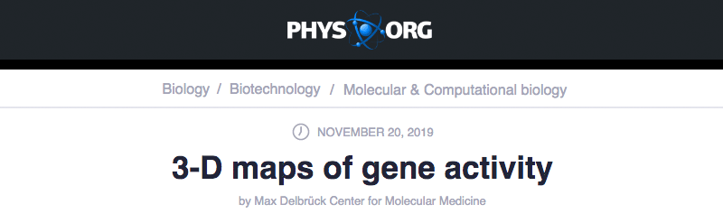 Phys.org header - 3-D maps of gene activity