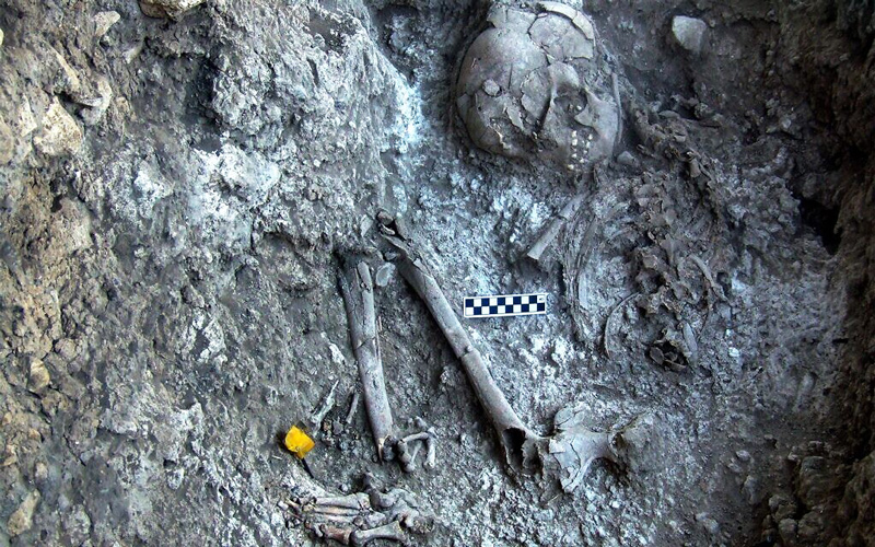 Close-up of a 12,000-year-old human burial embedded in the white material found in the Ein Gev cave.