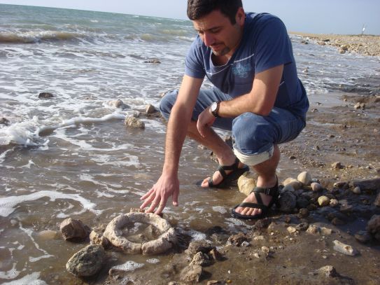 Stone bowl exposed on Tel Hreiz coast
