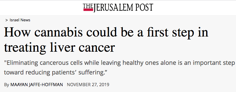 Jerusalem Post header - How cannabis could be a first step in treating liver cancer - "Eliminating cancerous cells while leaving healthy ones alone is an important step toward reducing patients’ suffering.”