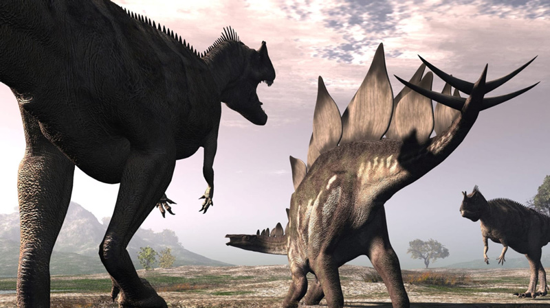 Ceratosaurus and Stegosaurus dinosaurs: Warm-blooded
