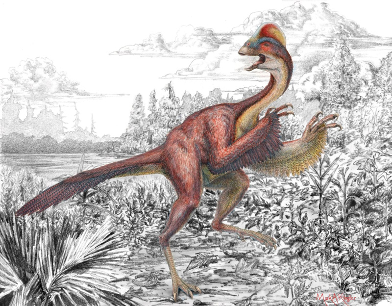 Anzu wyliei: warm-blooded dinosaur