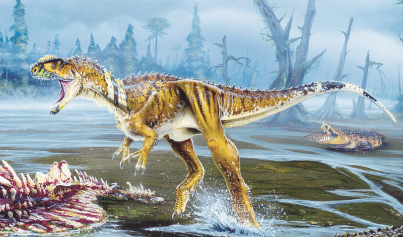 Rugops primus of the Sahara, dinosaur, warm-blooded