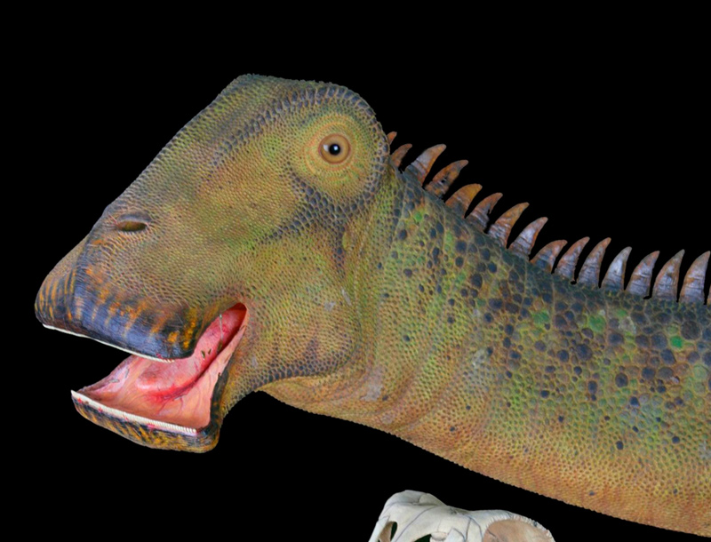 Maiasaurus, a warm-blooded dinosaur