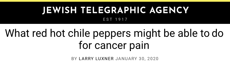 JTA header - What red hot chile peppers might be able to do for cancer pain treatment