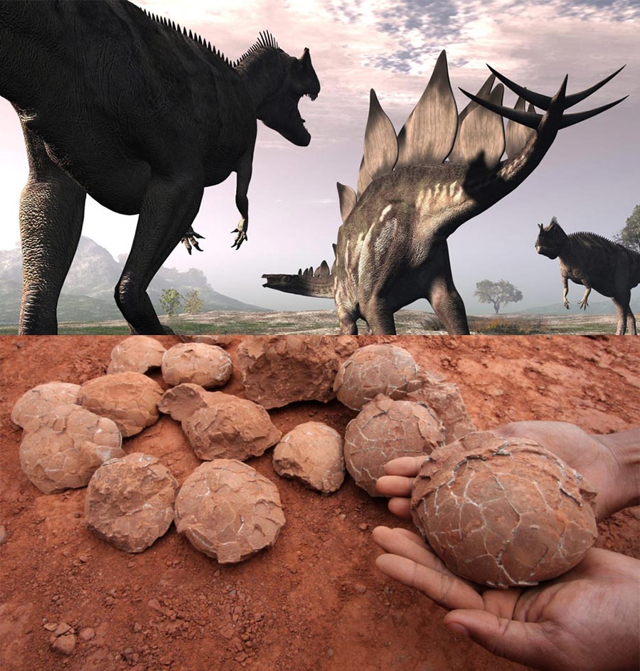 Dinosaurs were warm-blooded, groundbreaking HU study finds