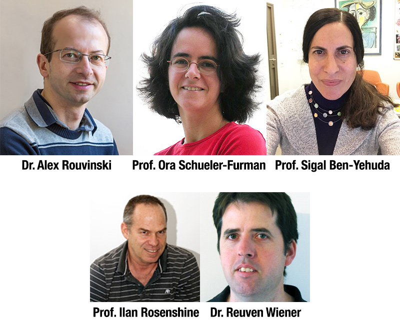 Dr. Alex Rouvinski, Prof. Ora Schueler-Furman, Prof. Sigal Ben-Yehuda, Prof. Ilan Rosenshine, Dr. Reuven Wiener