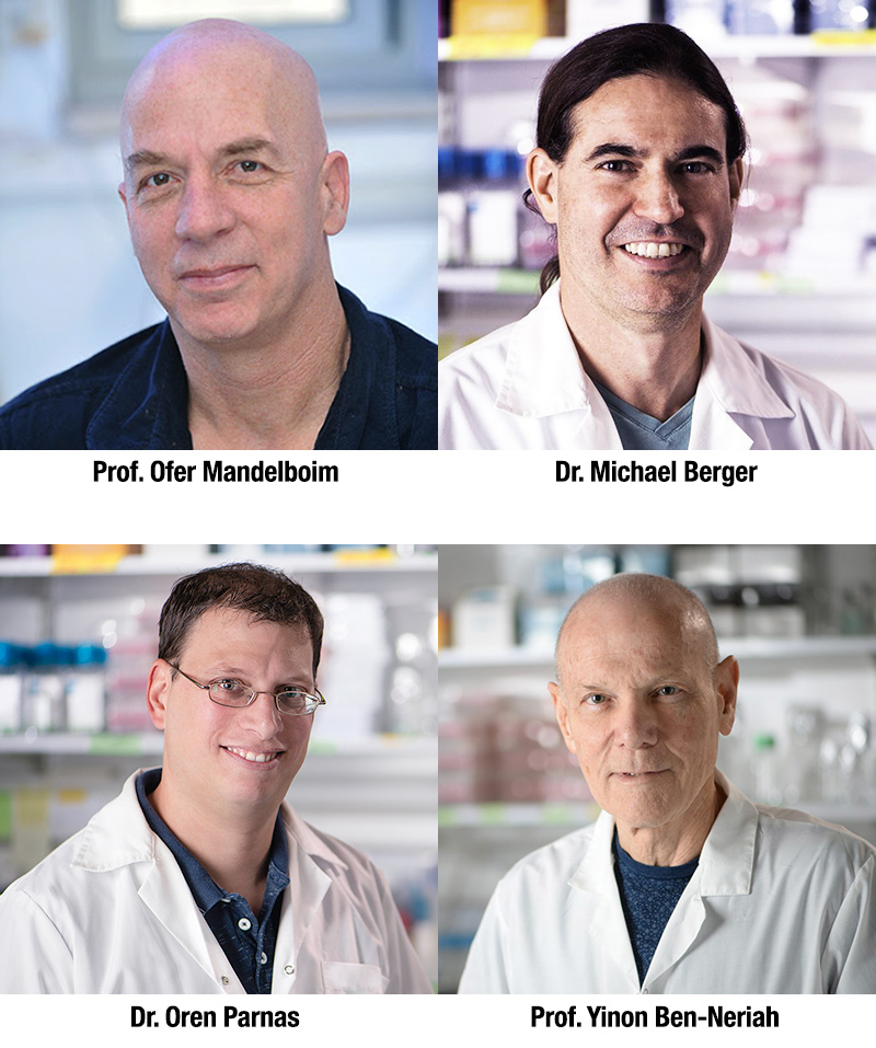 Prof. Ofer Mandelboim, Dr. Michael Berger, Dr. Oren Parnas, and Prof. Yinon Ben-Neriah