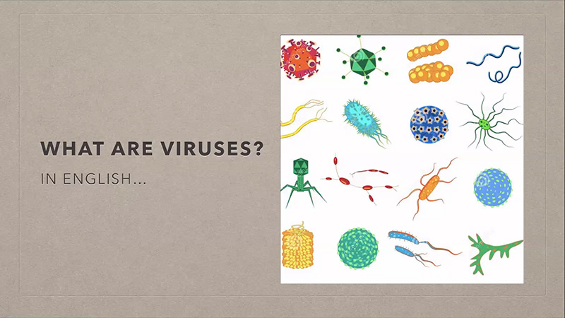 Coronavirus and The Future of Immunology Webinar