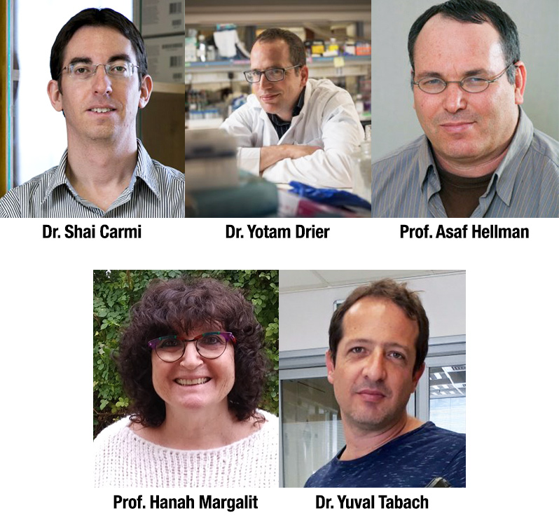 Dr. Shai Carmi, Dr. Yotam Drier, Prof. Asaf Hellman, Prof. Hanah Margalit, and Dr. Yuval Tabach