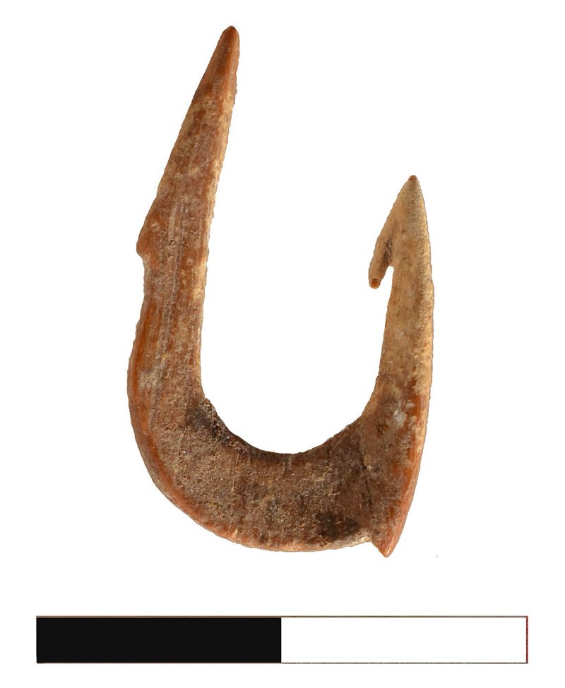 A fishhook from paleo-lake Hula, used between 20,000 to 10,000 years ago.