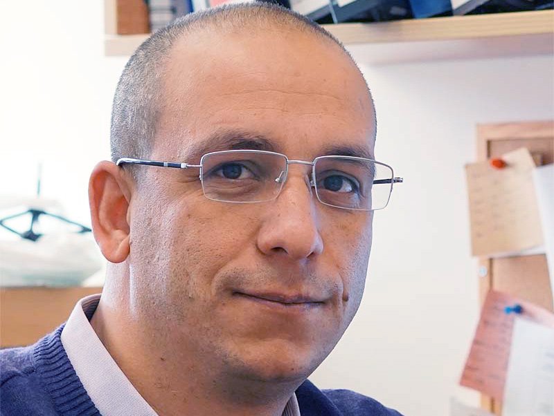 Prof. Norman Metanis, Hebrew University Department of Chemistry, study co-author