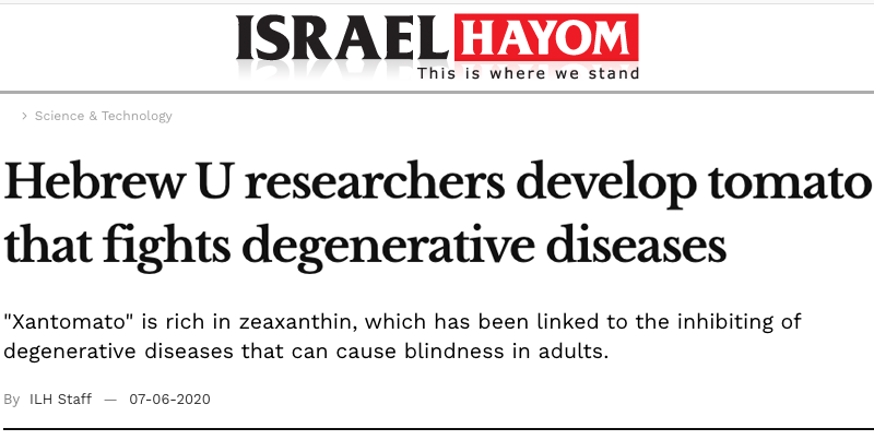 Israel Hayom header - Hebrew U researchers develop tomato that fights degenerative diseases - "Xantomato" is rich in zeaxanthin, which has been linked to the inhibiting of degenerative diseases that can cause blindness in adults.