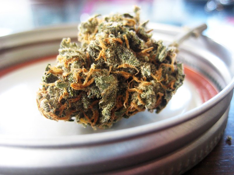 A cannabis bud.