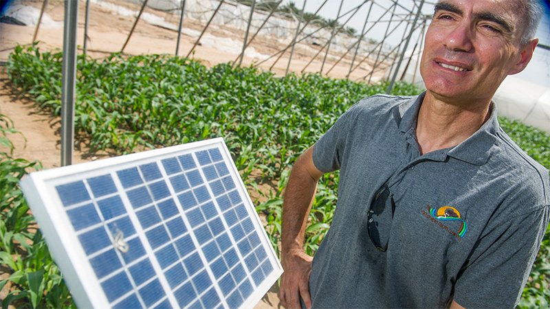 HU plant scientist says UAE and Israel will benefit from new ...