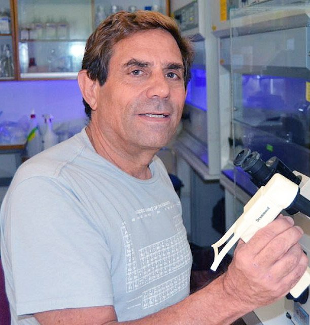 Micro-pancreas created by HU researcher ready for UK trials, says ...