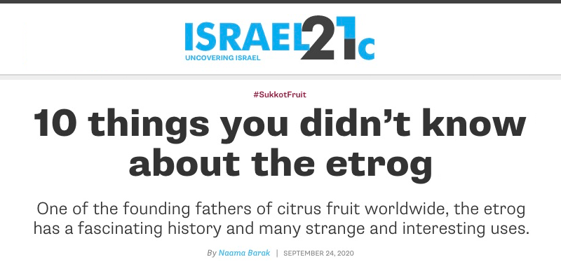 ISRAEL21c header - 10 things you didn’t know about the etrog - One of the founding fathers of citrus fruit worldwide, the etrog has a fascinating history and many strange and interesting uses.