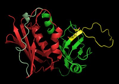 SEB, a typical bacterial superantigen (PDB-3SEB).