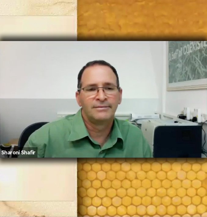 WEBINAR – Life in the Balance: The Honey Bee Perspective