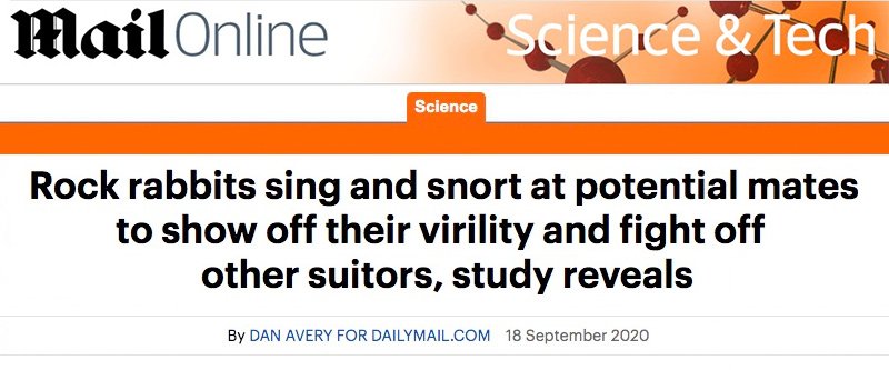 Daily Mail Online header - Rock rabbits sing and snort at potential mates to show off their virility and fight off other suitors, study reveals