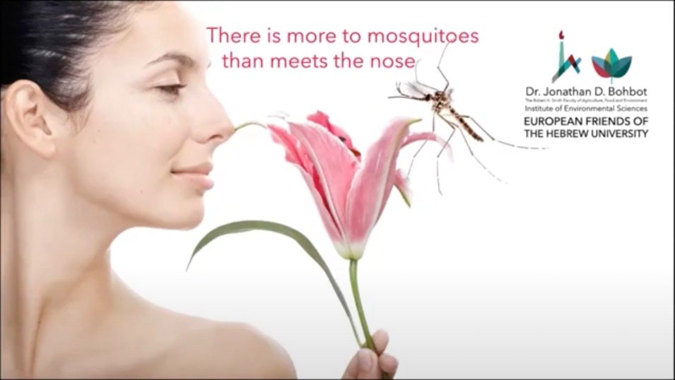 There is More to Mosquitoes Than Meets the Nose