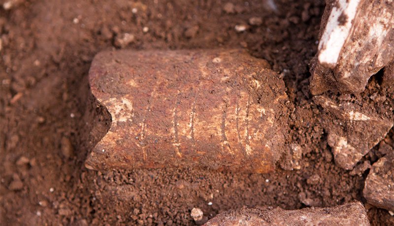 The bone fragment before removal from the site.