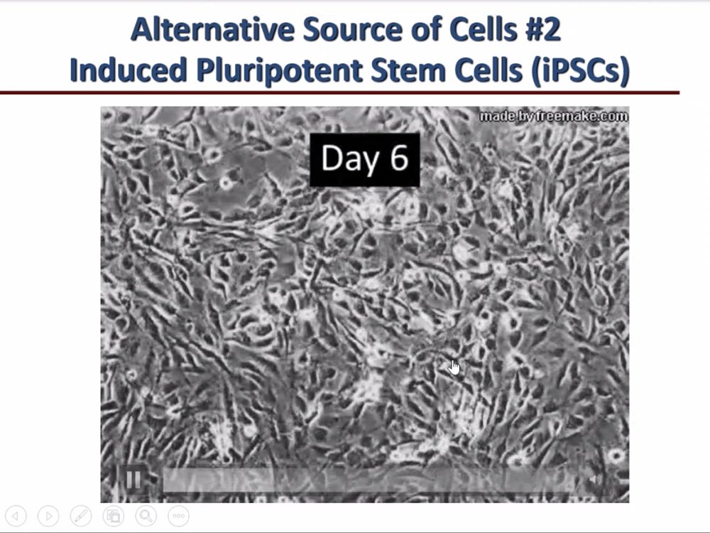 Ticking the Clock Backwards: From Skin Cells Transformation into Medically-Relevant Cell Types to Future Cell Rejuvenation Therapy