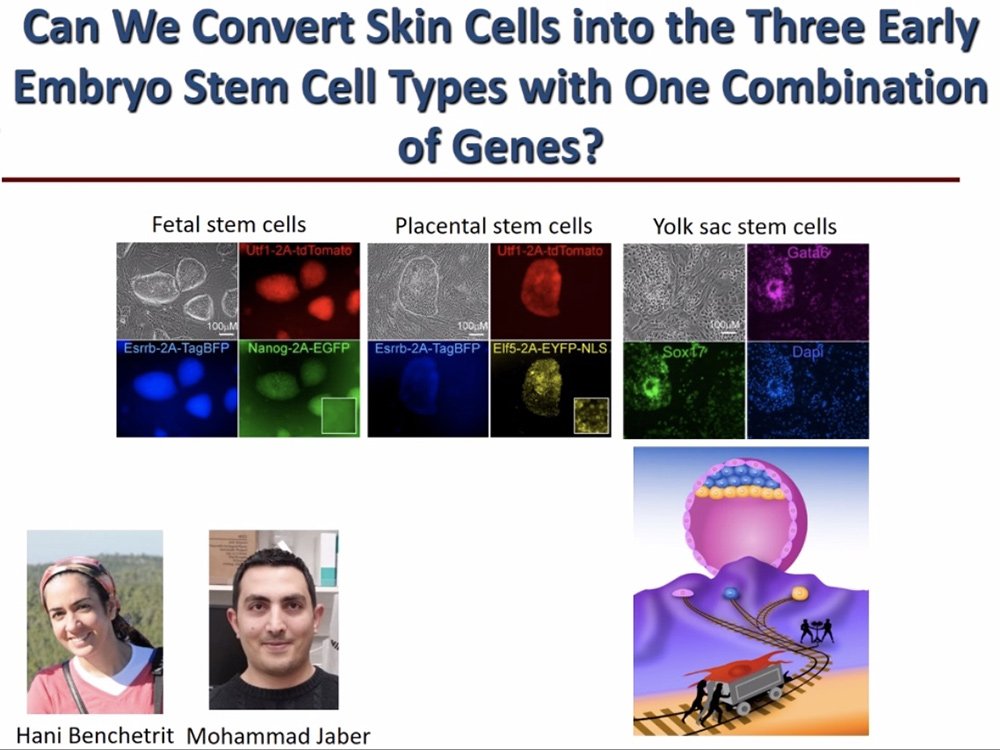 Ticking the Clock Backwards: From Skin Cells Transformation into Medically-Relevant Cell Types to Future Cell Rejuvenation Therapy