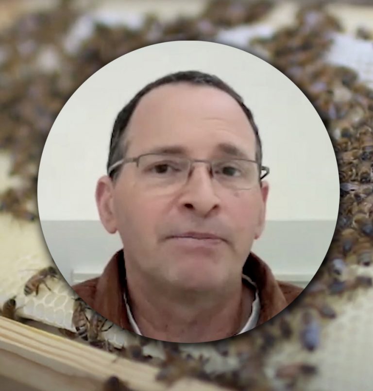 HUJI Bites – Bee Biology with Dr. Sharoni Shafir, Head of the Institute of Environmental Sciences