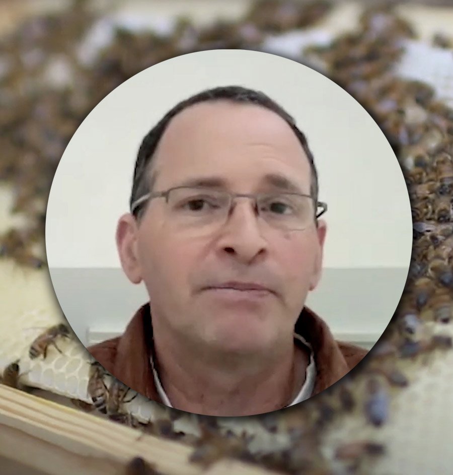 HUJI Bites - Bee Biology with Dr. Sharoni Shafir, Head of the Institute of Environmental Sciences