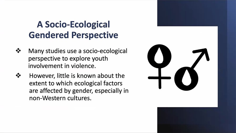 Deliquency & Violence in the Israeli-Arab Society: Ecological Factors