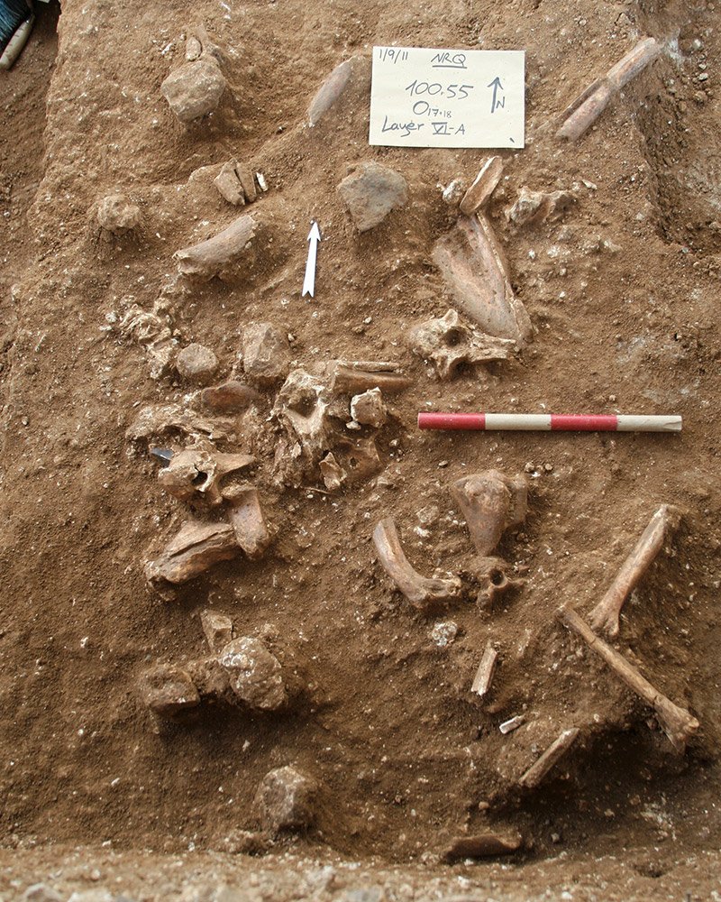 Bones and other items found at the site