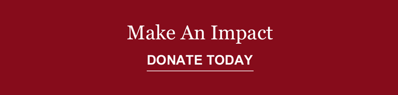 Make An Impact: DONATE TODAY