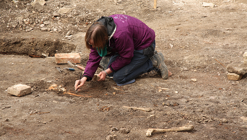 The excavation at the medieval Jewish cemetery of Erfurt. In the photo: Dr. Karin Sczech.