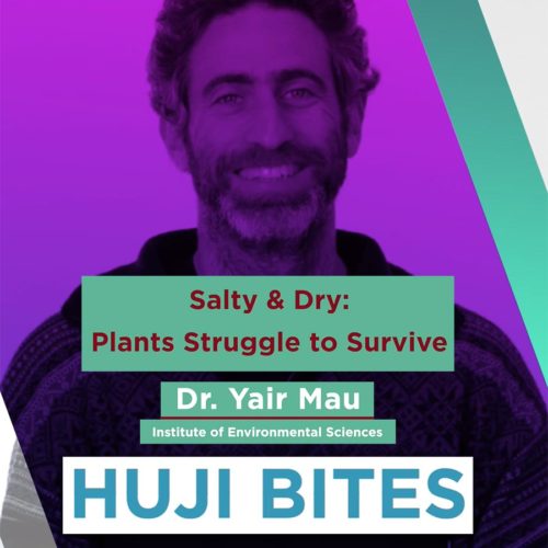 HUJI Bites: Salty & Dry: Plants Struggle to Survive